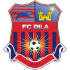 logo Dila Gori