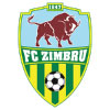 logo Zimbru